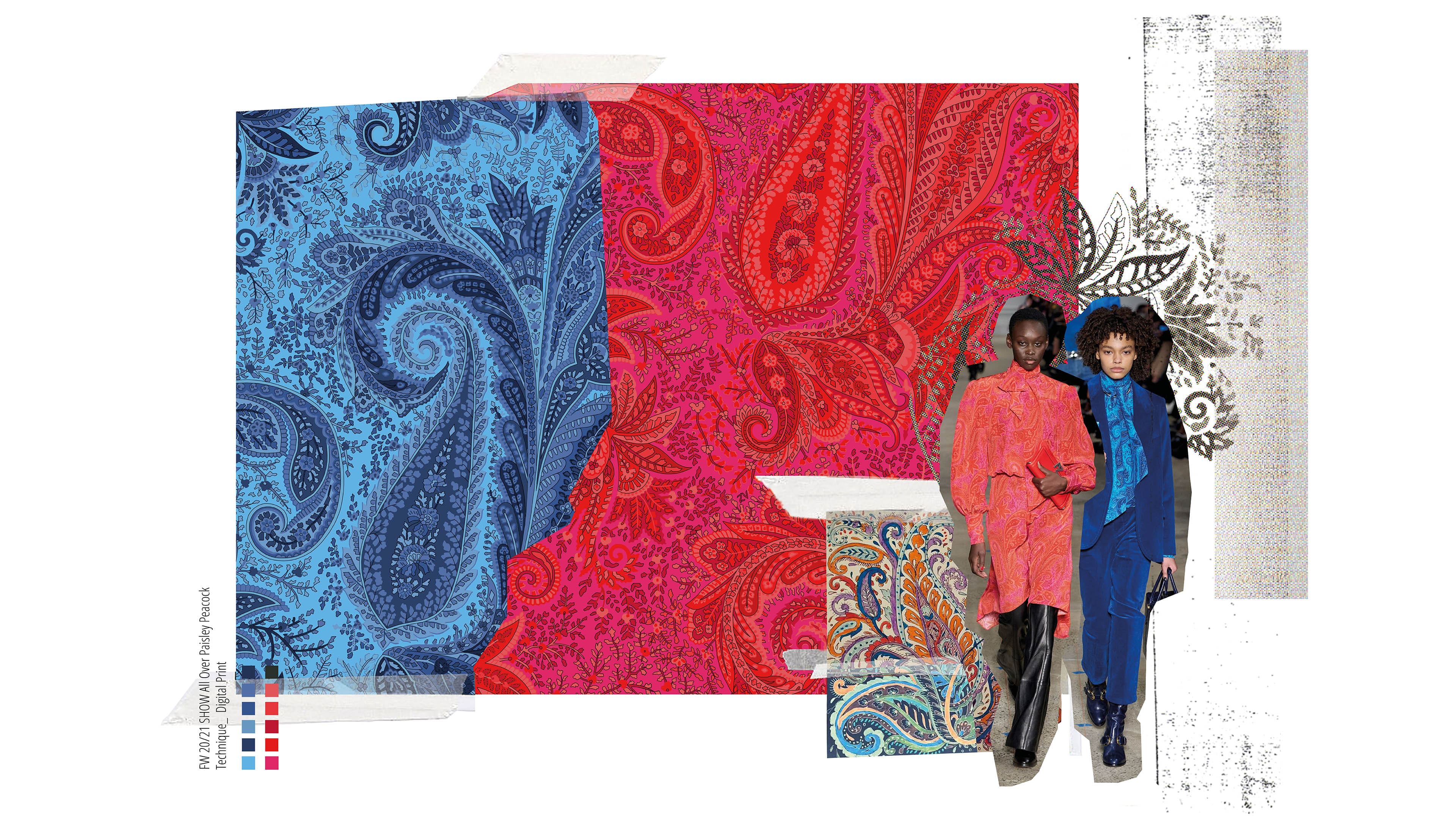 Book Femme Clara Apolit